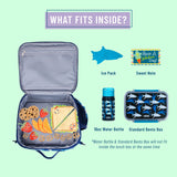 Sharks Eco Lunch Box