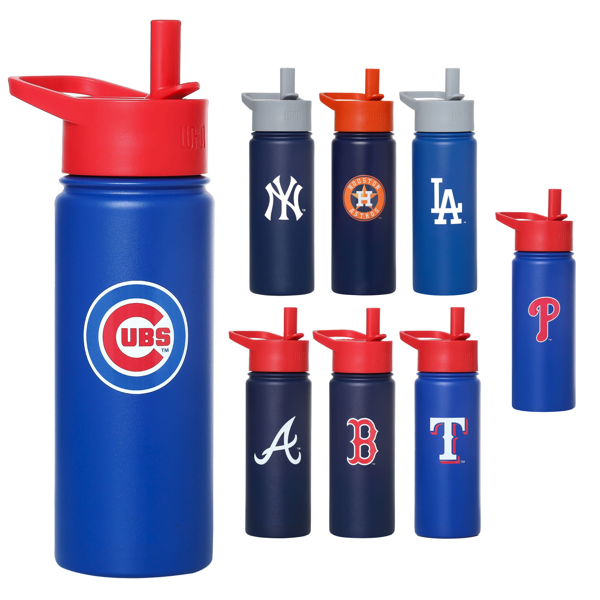 Chicago Cubs™ 18 oz Steel Water Bottle