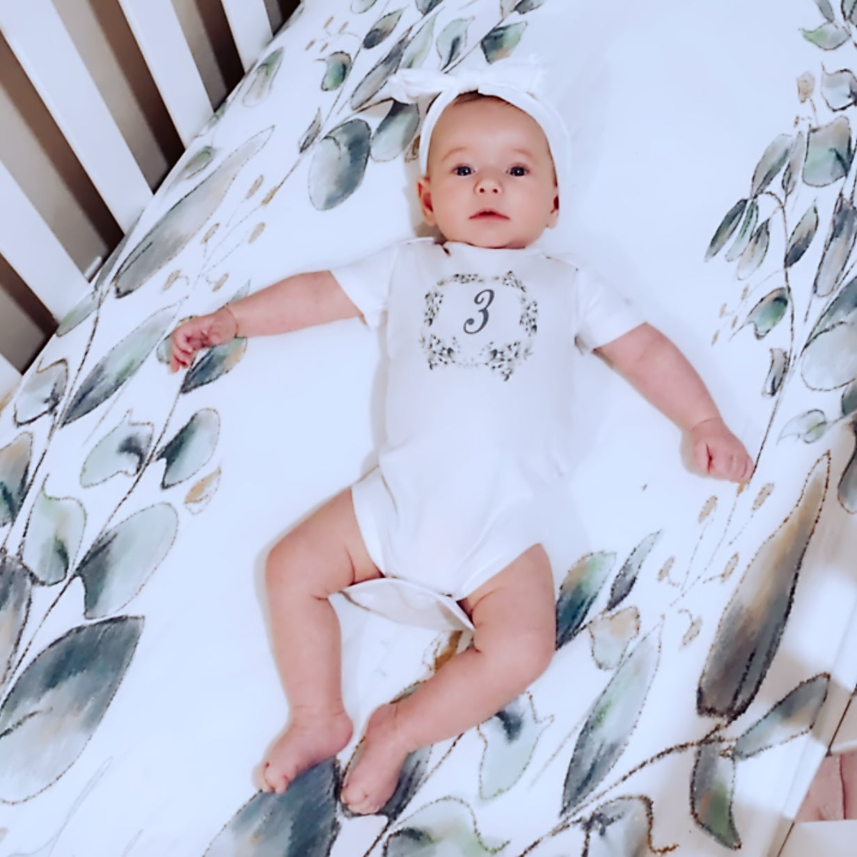 Botanical Seize The Moment Baby Milestone Onesies, 1 Through 12 Bodysuit Set With Numbers