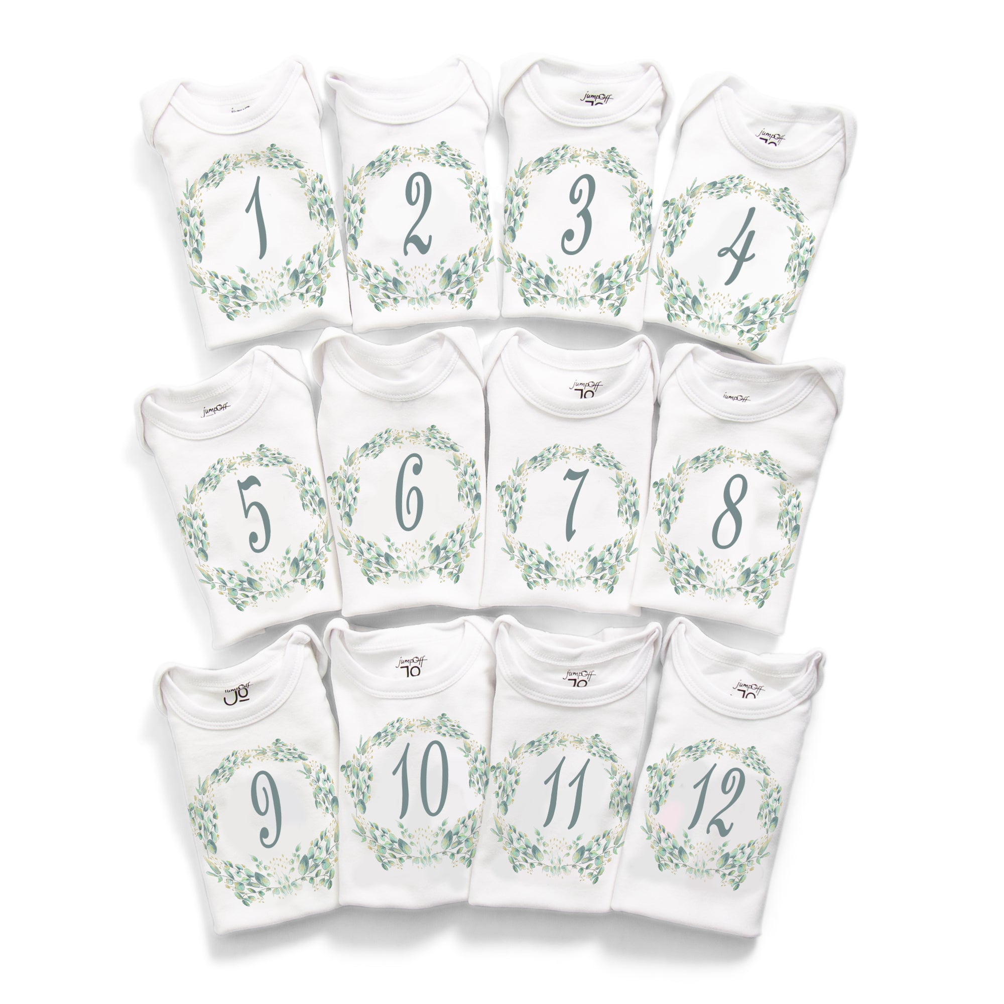 Botanical Seize The Moment Baby Milestone Onesies, 1 Through 12 Bodysuit Set With Numbers