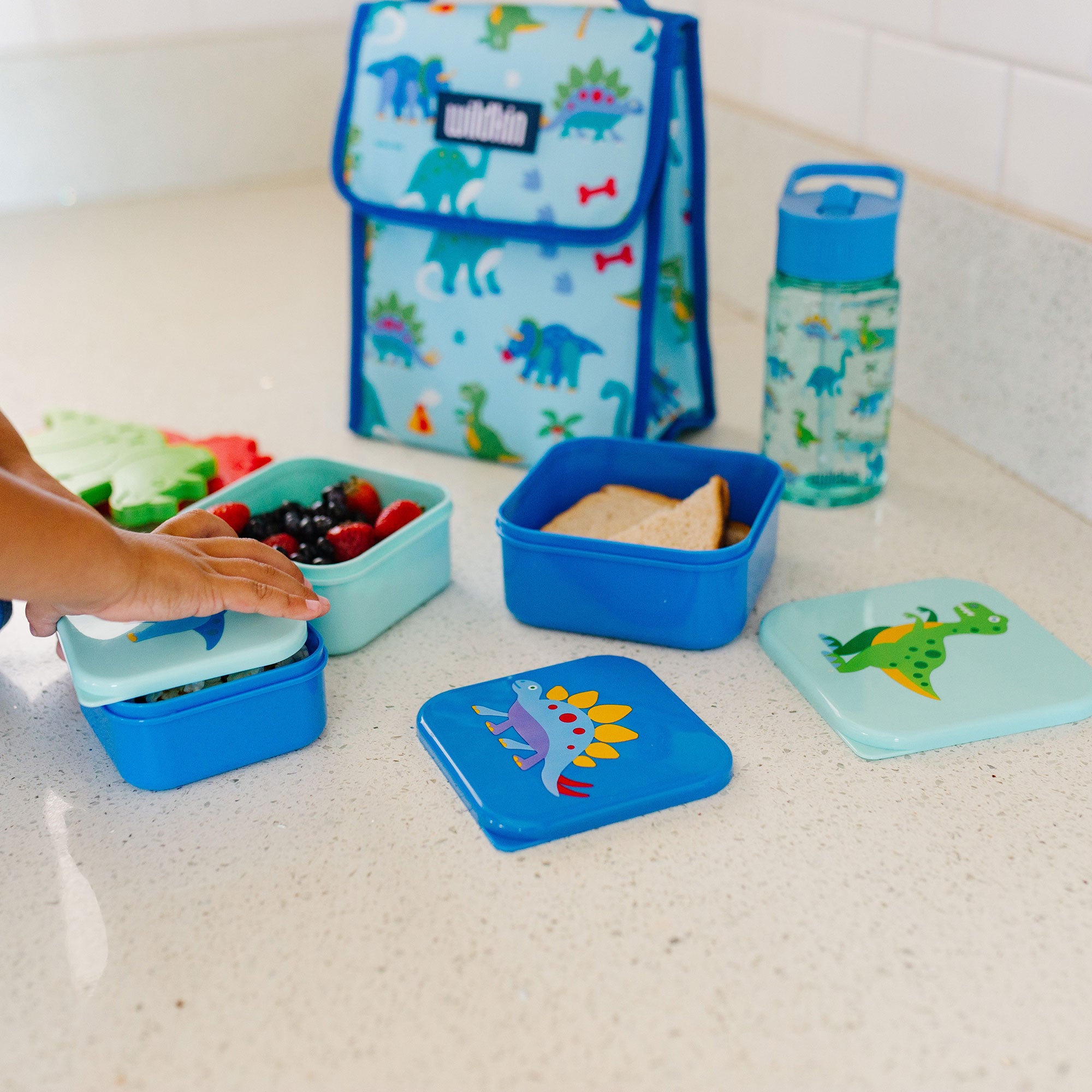 Dinosaur Land Nested Snack Containers