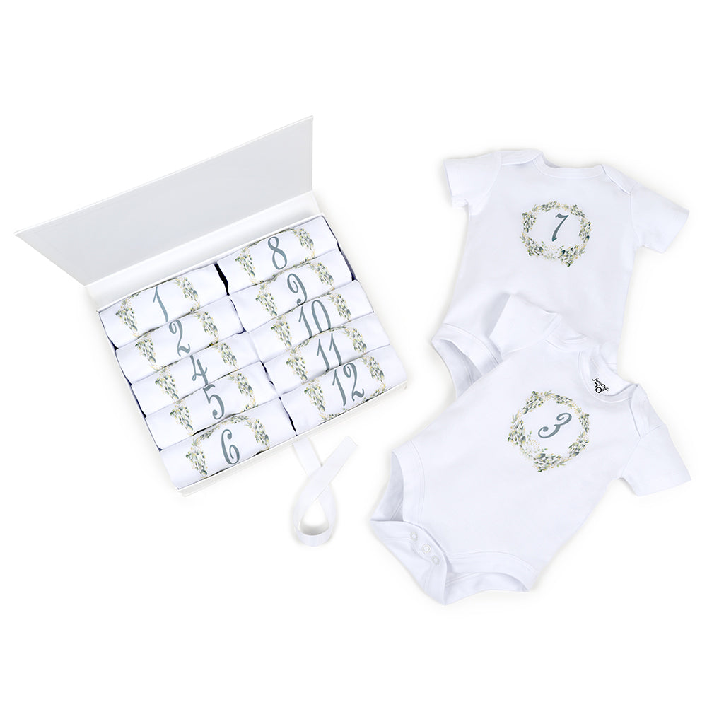 Botanical Seize The Moment Baby Milestone Onesies, 1 Through 12 Bodysuit Set With Numbers