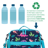 Darling Dinosaurs ECO Lunch Box