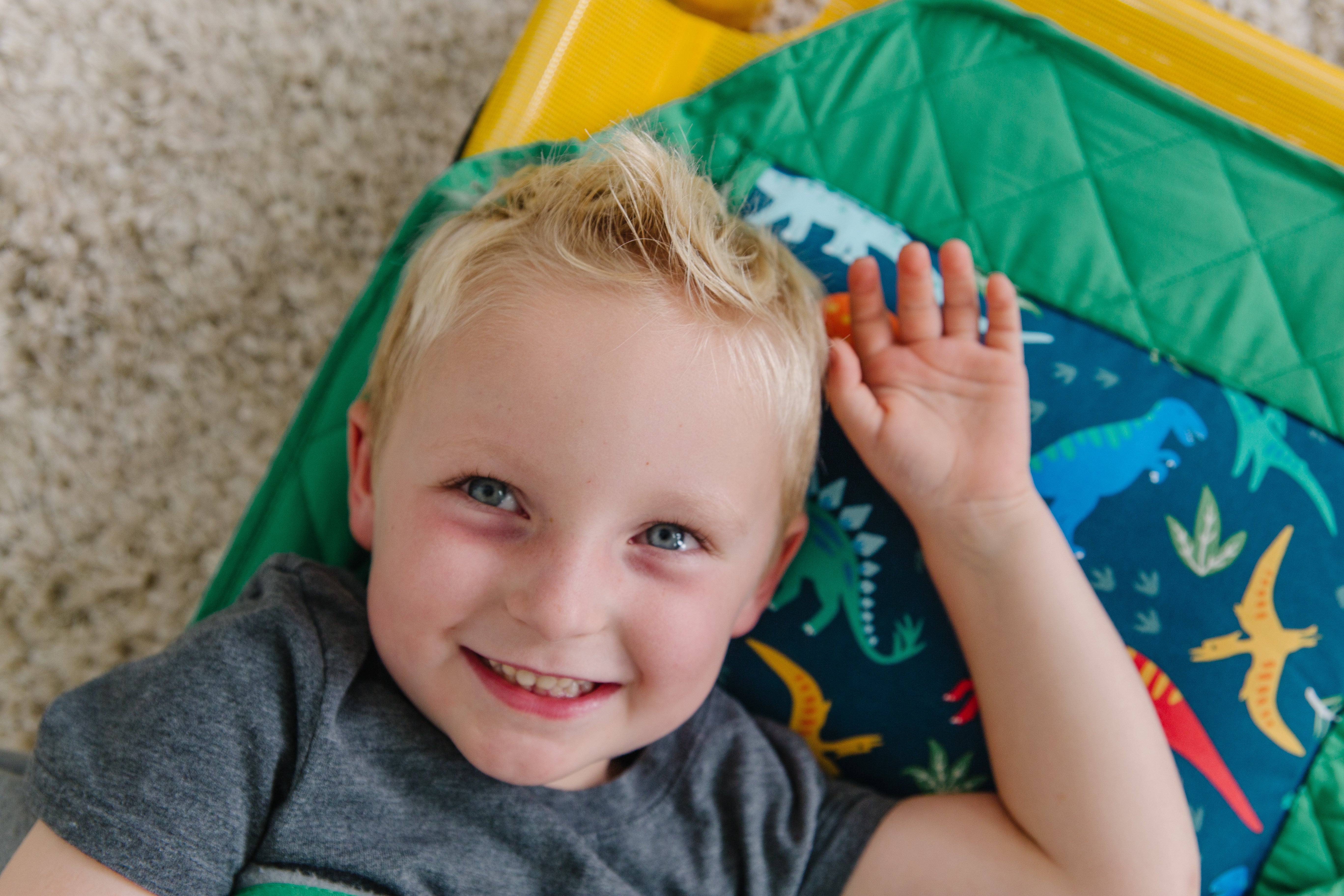 Jurassic Dinosaurs Modern Nap Mat