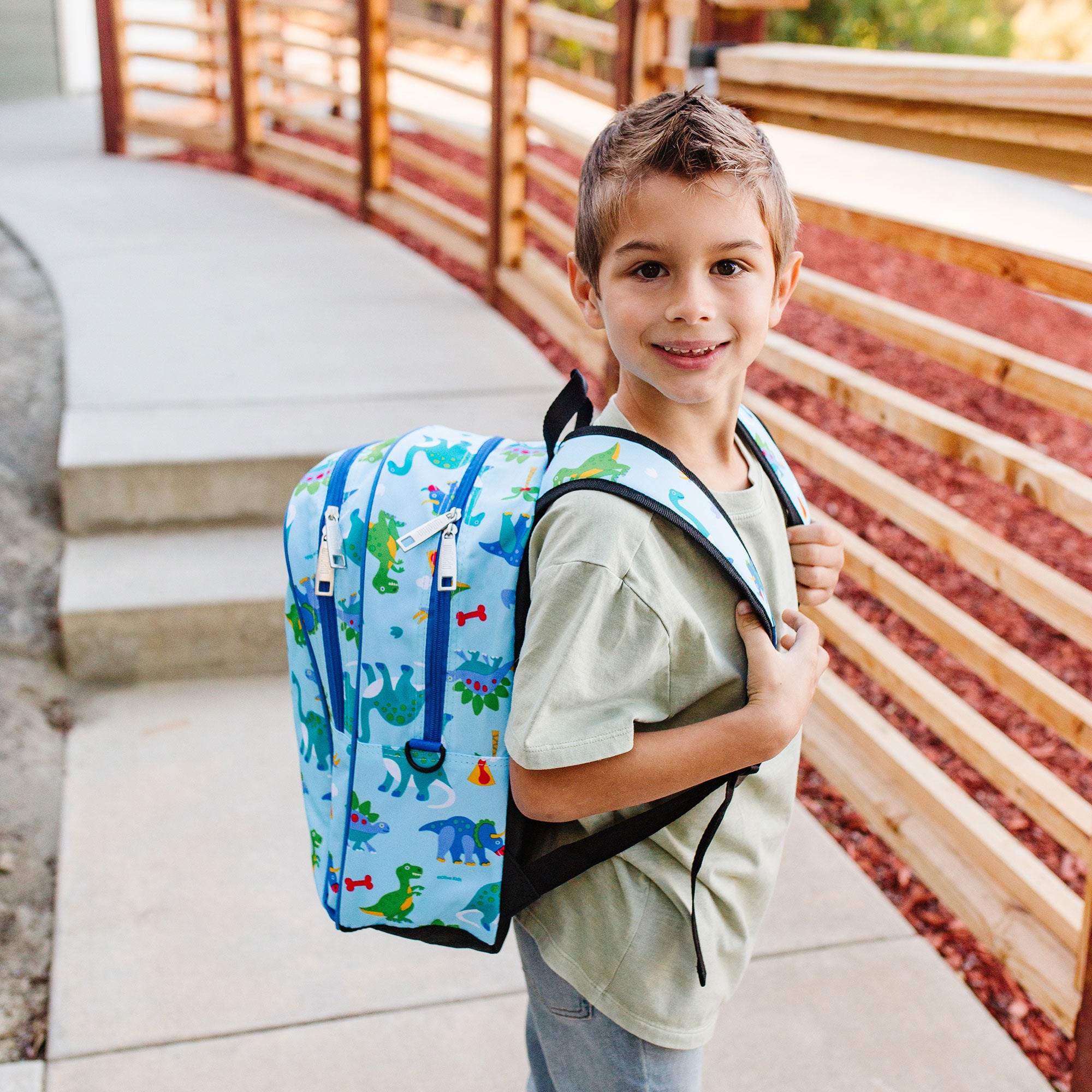 Dinosaur Land 15 Inch Backpack