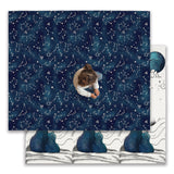 Large Play Mat - Galaxy Bears