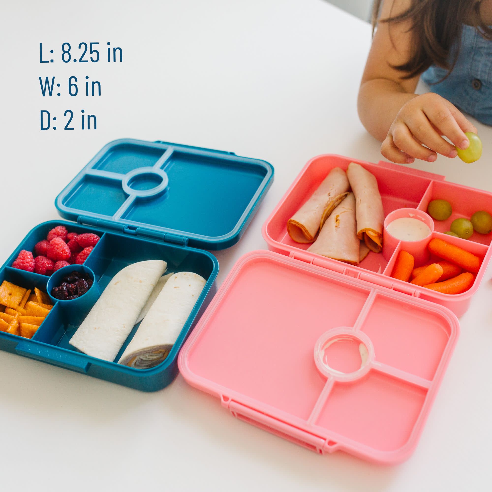 Trains, Planes & Trucks Bento Box