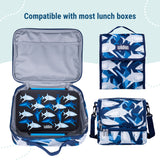 Sharks Reusable Food Container Bento Box