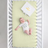 Botanical Seize The Moment Baby Milestone Onesies, 1 Through 12 Bodysuit Set With Numbers