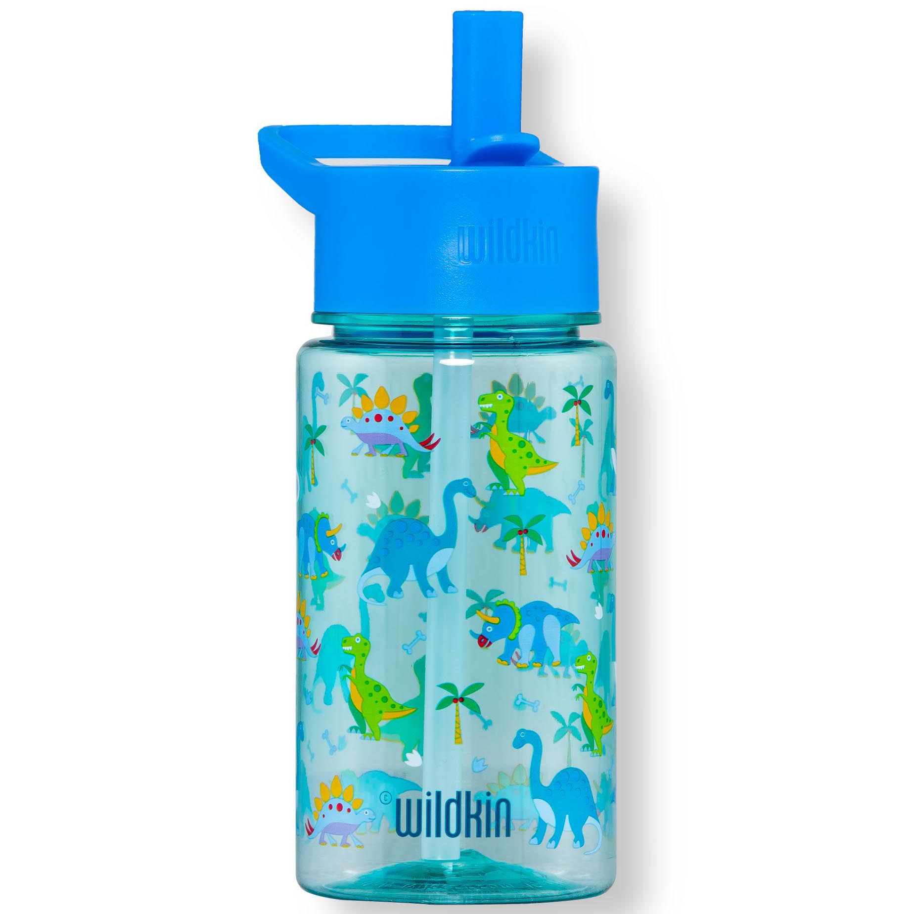 Dinosaur Land 16 oz Tritan Water Bottle