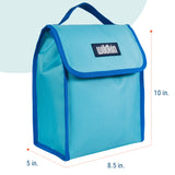 Aqua Lunch Bag