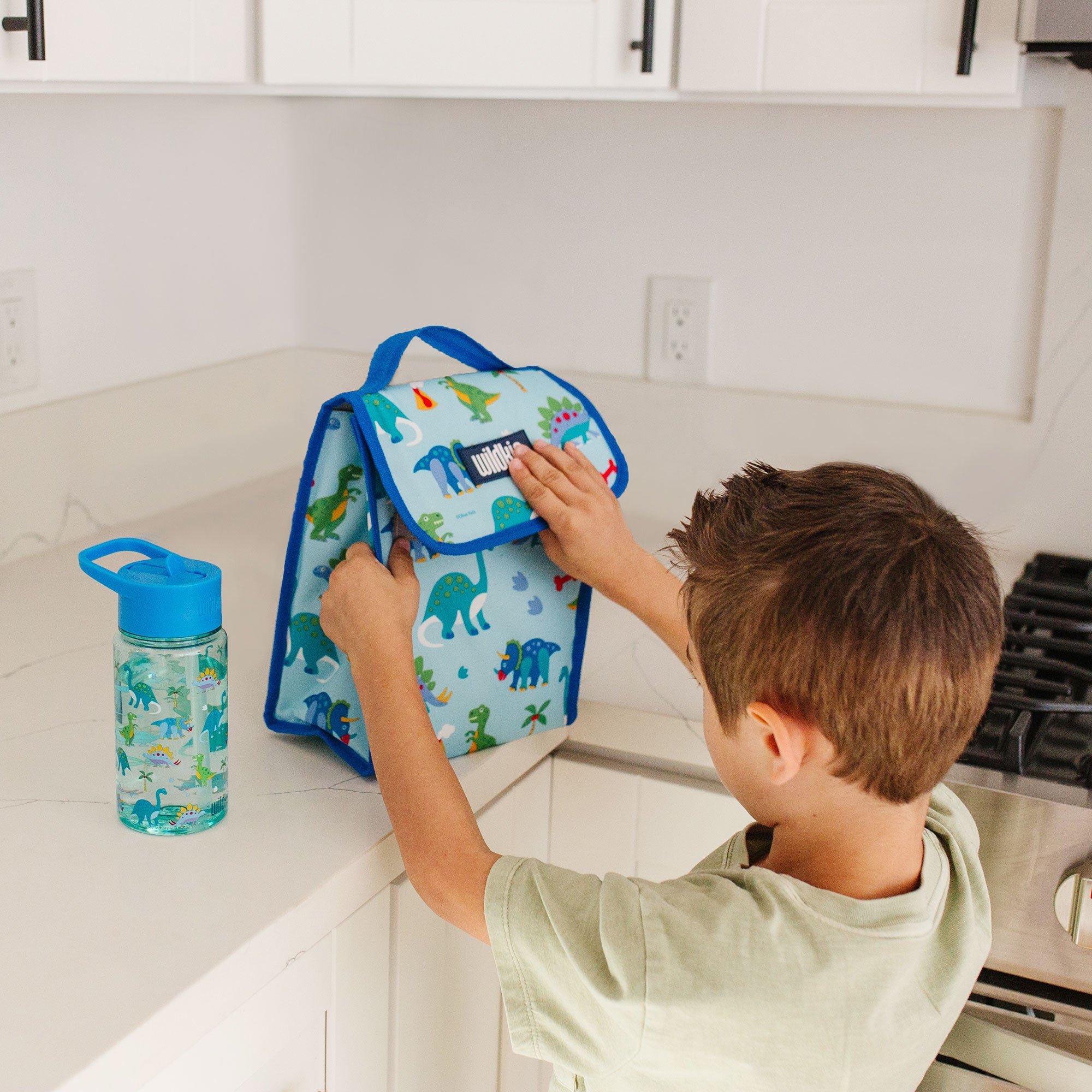 Dinosaur Land Lunch Bag