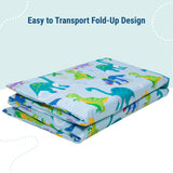 Dinosaur Land Original Rest Mat Cover