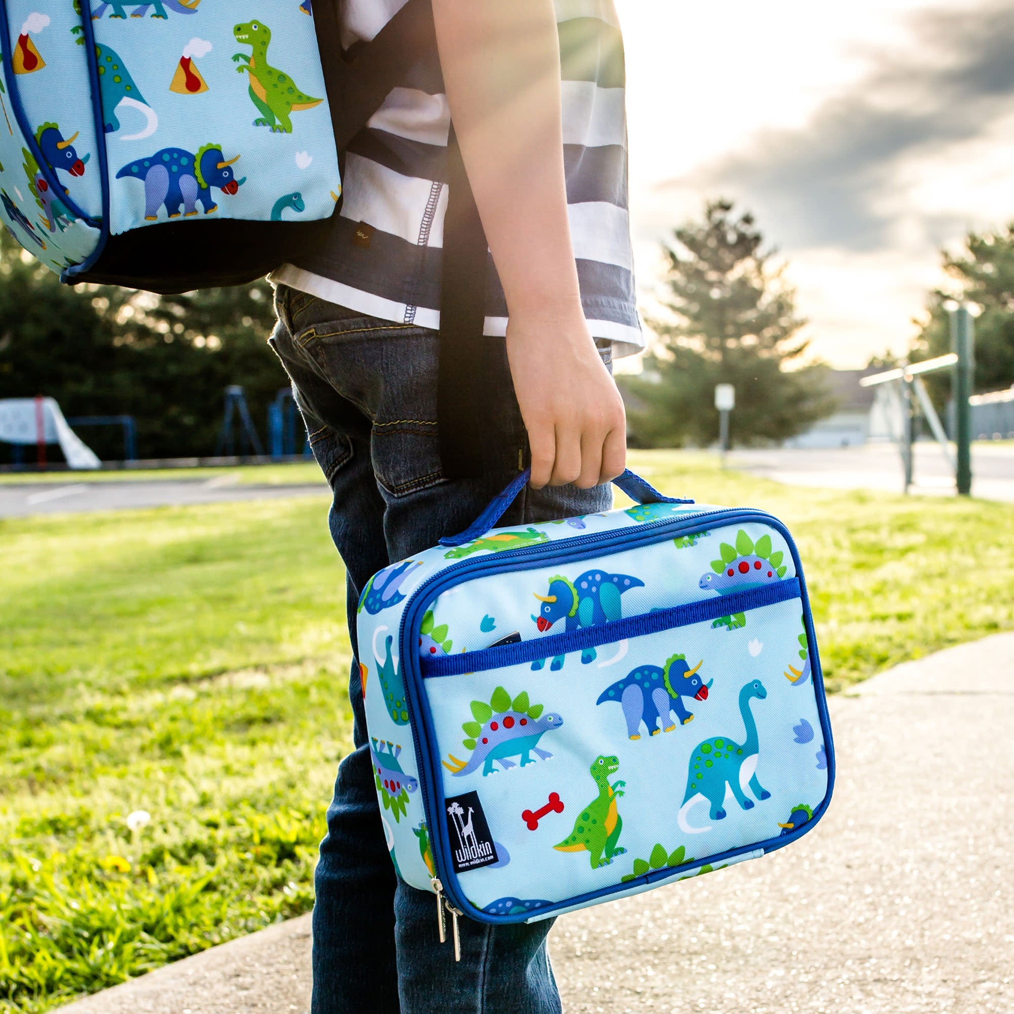 Dinosaur Land Lunch Box