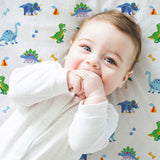 Dinosaur Land 100% Cotton Flannel Fitted Crib Sheet