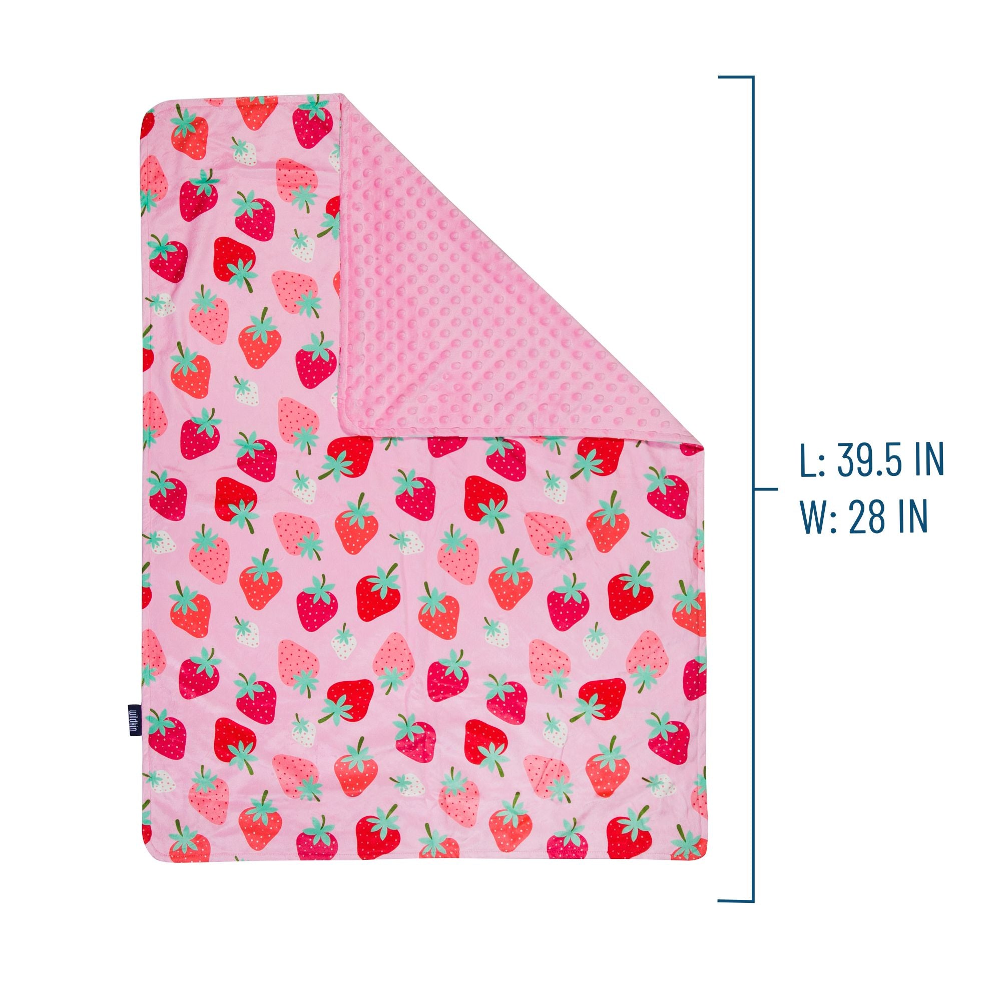 Strawberry Patch Velour Baby Blanket