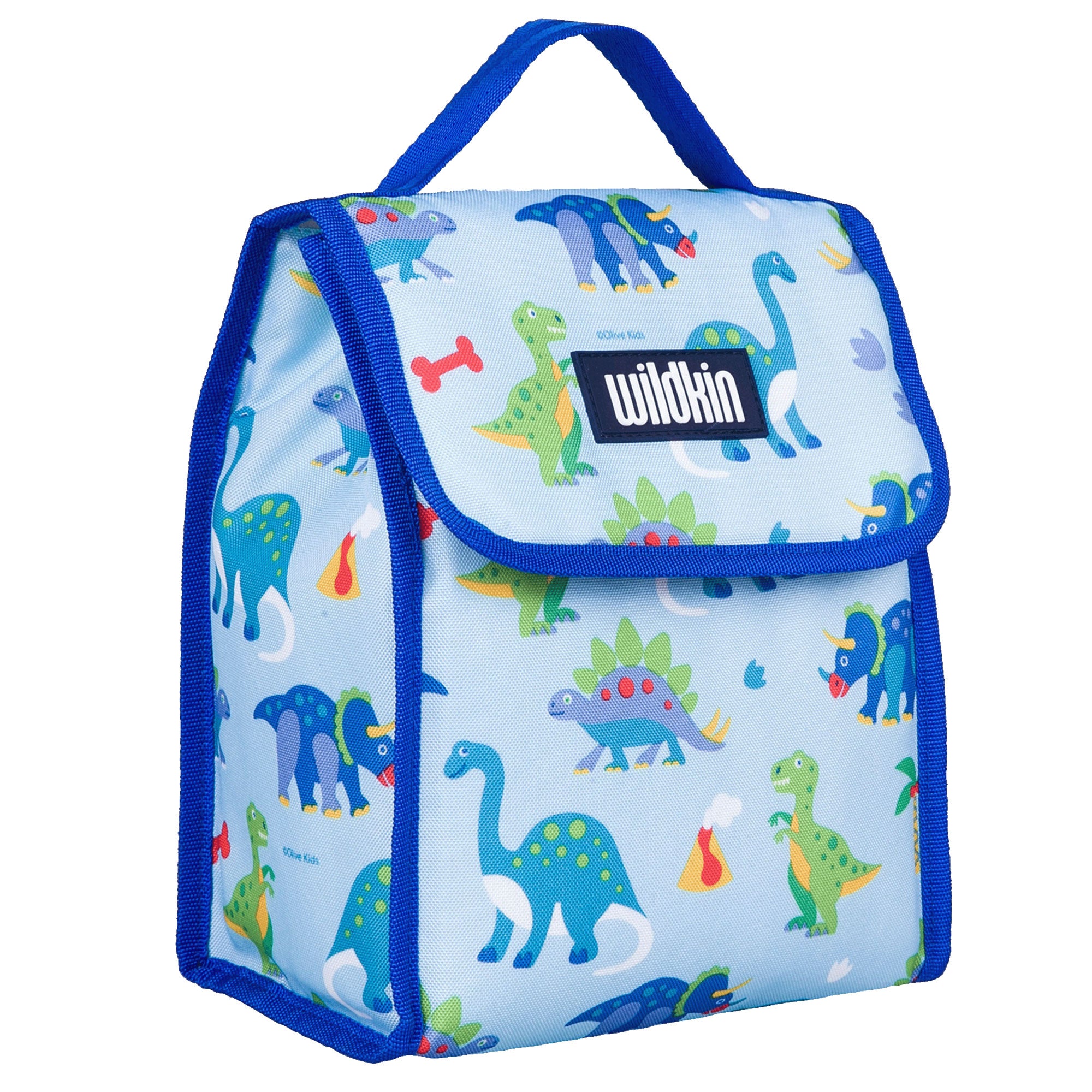 Dinosaur Land Lunch Bag