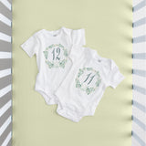 Botanical Seize The Moment Baby Milestone Onesies, 1 Through 12 Bodysuit Set With Numbers