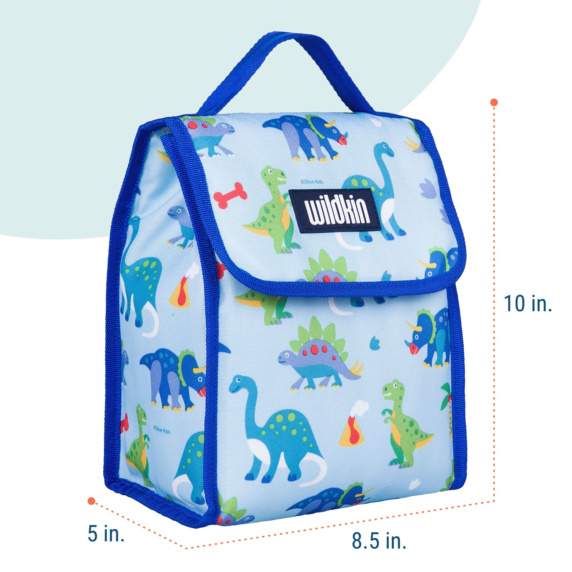 Dinosaur Land Lunch Bag