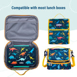 Jurassic Dinosaurs Reusable Food Container Bento Box