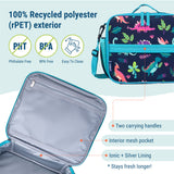 Darling Dinosaurs ECO Lunch Box