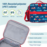 Transportation ECO rPET Next Gen Lunch Box