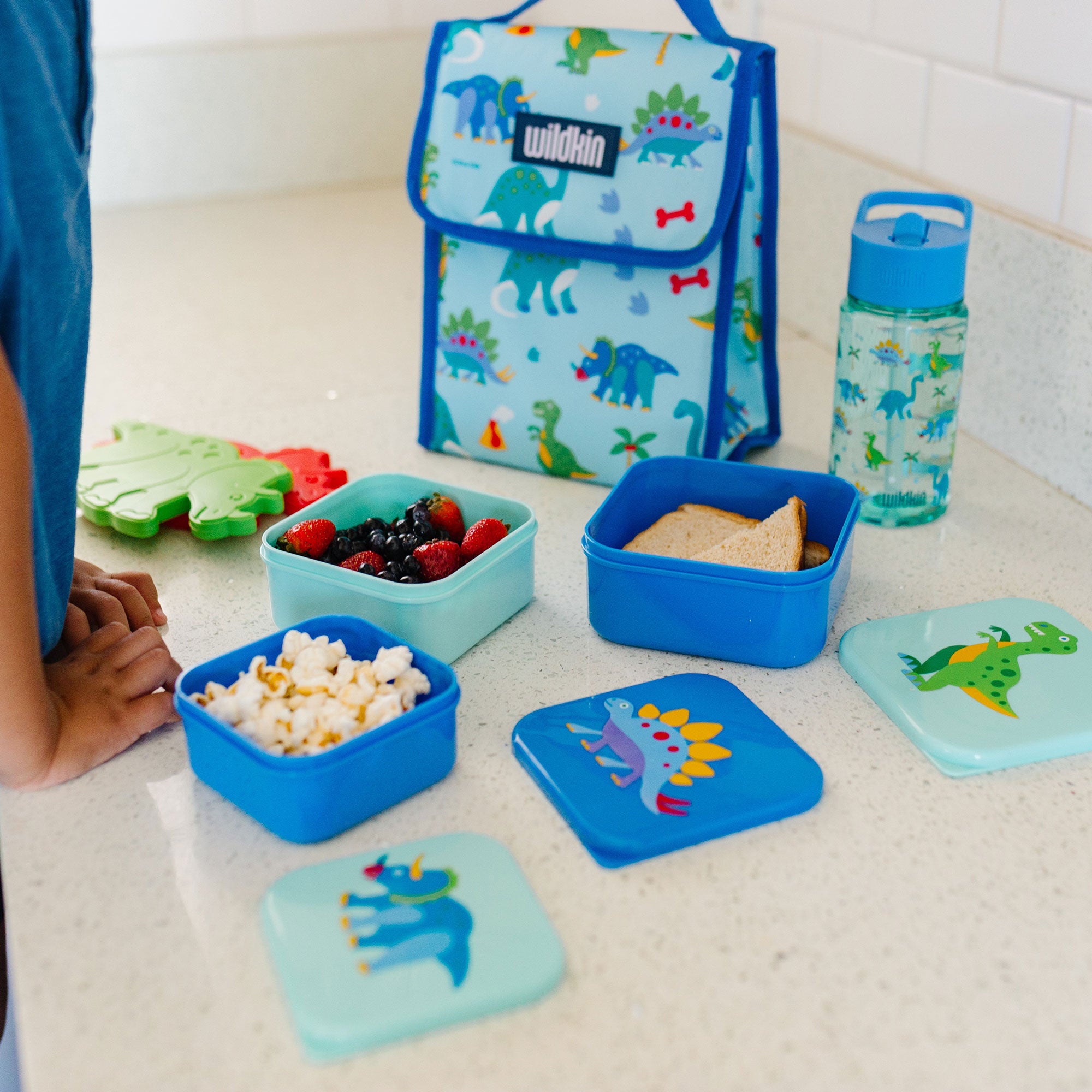 Dinosaur Land Nested Snack Containers