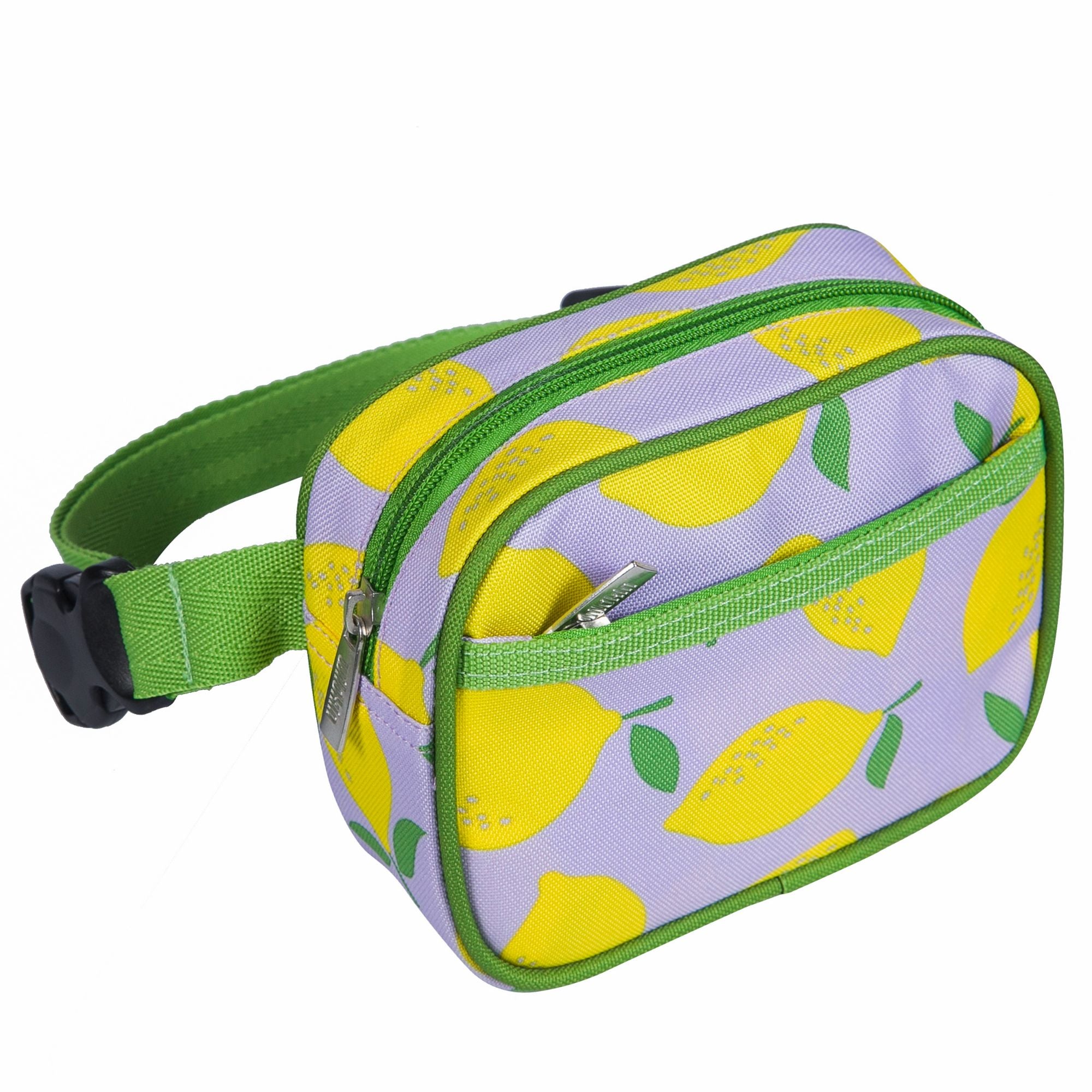 Fanny Pack