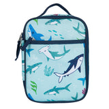 Shark Attack Day2Day Lunch Box