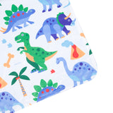 Dinosaur Land Plush Baby Blanket