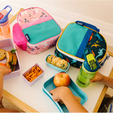 Jurassic Dinosaurs Clip-in Lunch Box